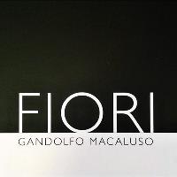 Fiori Fleurs, Luik openingstijden