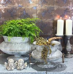 Esprit Nature, Nalinnes openingstijden