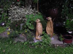 Al Gayoule AS Fleurs, Rocourt openingstijden