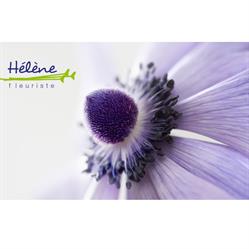 Fleuriste Hélène, Sint-Amandsberg openingstijden