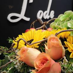 L'ode, Tenneville openingstijden