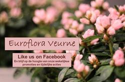 Euroflora, Veurne openingstijden