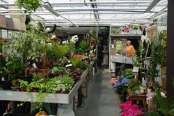 Velghe J-Fleurs, Warcoing openingstijden