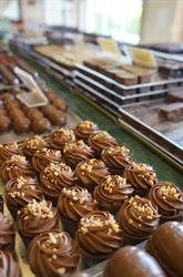 Vanhoutte Stijn, Waregem openingstijden