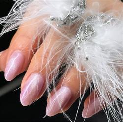 Mani D'oro Anvers Centre-Ville Antwerpen - openingstijden