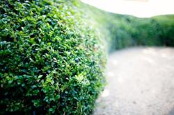 Duo Verde, Brasschaat openingstijden