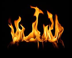 Ecoflames Bvba, Wuustwezel openingstijden