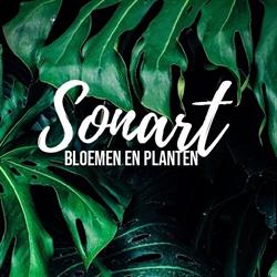 Sonart, Sint-Katelijne-Waver openingstijden