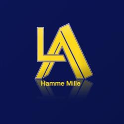 Immobilière L.a., Hamme-Mille openingstijden