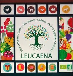 Leucaena, Meux openingstijden
