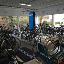 Cycli Imola Metamorphose, Lauwe openingstijden