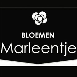 Bloemen Marleentje 3 Gand Centre-Ville Gent - openingstijden