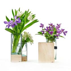 Cleome, Lovendegem openingstijden