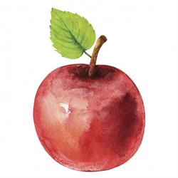 De Fruithoeve Termonde Dendermonde - openingstijden