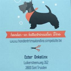 Dino, Sint-Truiden openingstijden