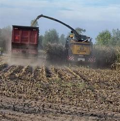 Fredotrans Bvba, Beernem openingstijden