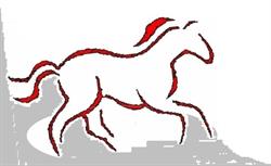 Manege B-RANCH 2B vzw, Kalmthout openingstijden