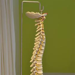Moris Geert, Bonheiden openingstijden