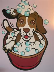 Dog Wellness, Middelkerke openingstijden