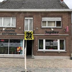 Sint Antonius, Sint-Lievens-Houtem openingstijden