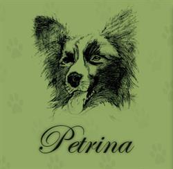 Petrina, Brecht openingstijden