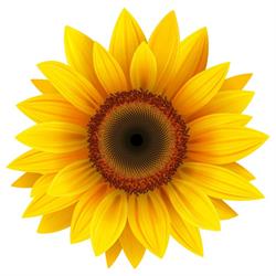 Zonnebloem - Welkom (De), Oostkamp openingstijden