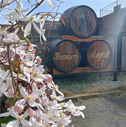 Brouwerij Angerik Bvba, Dilbeek openingstijden