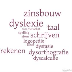Wybo, Ninove openingstijden