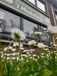 't Madeliefje, Kruibeke openingstijden