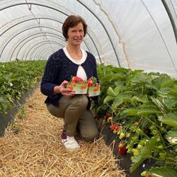 De Beekhoeve, Harelbeke openingstijden
