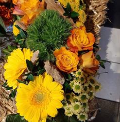 Bloemen St-Jozef, Oelegem openingstijden
