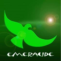 Centre de Jour Emeraude, Baulers openingstijden