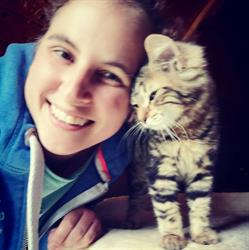 A Tout Poil , pension pour chats, lapins et cobayes, La Louvière openingstijden