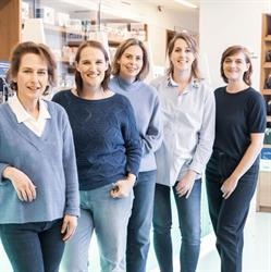 Apotheek de Cooman Bvba, Zottegem openingstijden