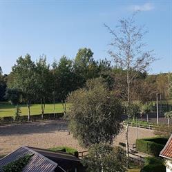 Stal Tillegem Bvba, Sint-Andries openingstijden