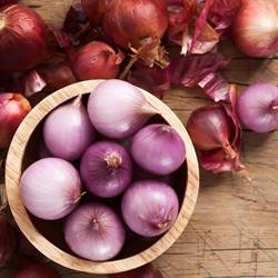 Fresh Onions Bvba, Meulebeke openingstijden