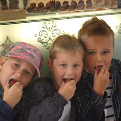 't Appeltje, Turnhout openingstijden