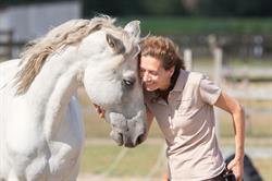 Perlan / Vakantie te paard, Deinze openingstijden