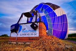 Up Ballooning BV Ballonvaarten, Belsele openingstijden