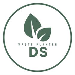 Vaste Planten Dirk de Swaef, Lennik openingstijden