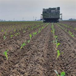 Agriplant, Langemark-Poelkapelle openingstijden