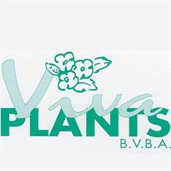 Viva Plants, Sint-Eloois-Vijve openingstijden