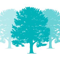 Treetops Real Estate, Ruisbroek openingstijden