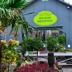 Au Petit Jardin, Poperinge openingstijden