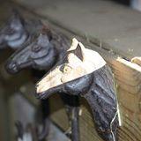 De Pelgrims Hoeve, Sint-Pauwels openingstijden