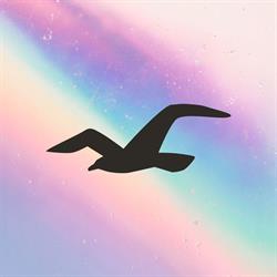 Hollister Co., Sint-Niklaas openingstijden