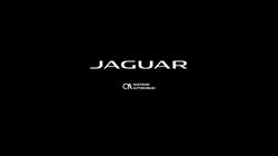 Jaguar Namur Quevrain, openingstijden