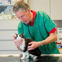 Dierenarts Dr Devloo Johan, De Panne openingstijden