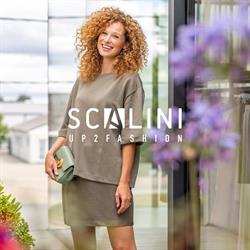 Scalini, Torhout openingstijden