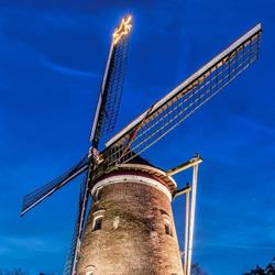 Oud huys mariman, Hamme openingstijden